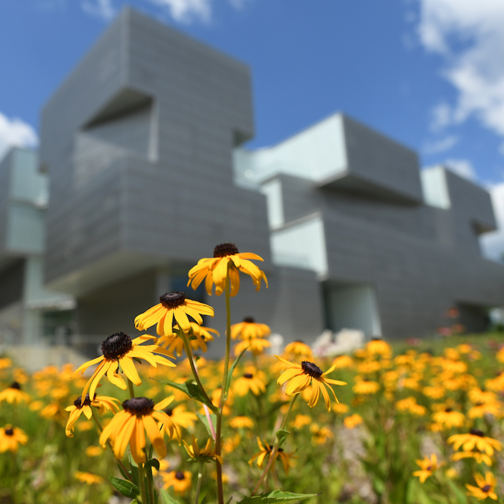Art Building with Flowers