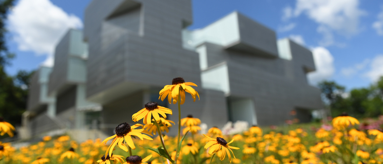 Art Building with Flowers